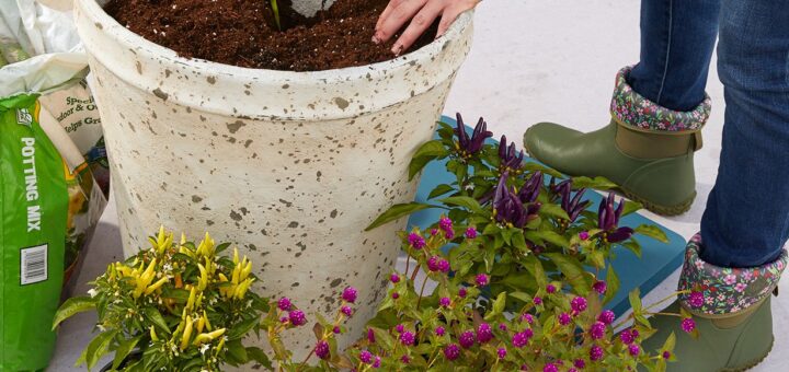 Start a Garden the Easy Way